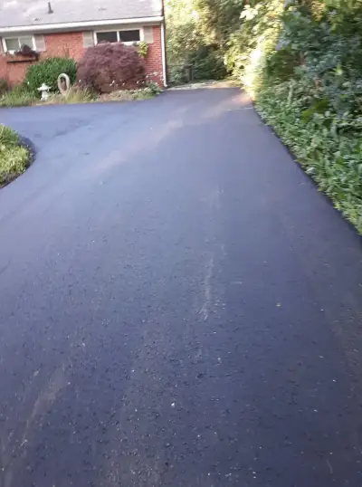 Narrow driveway between planted borders