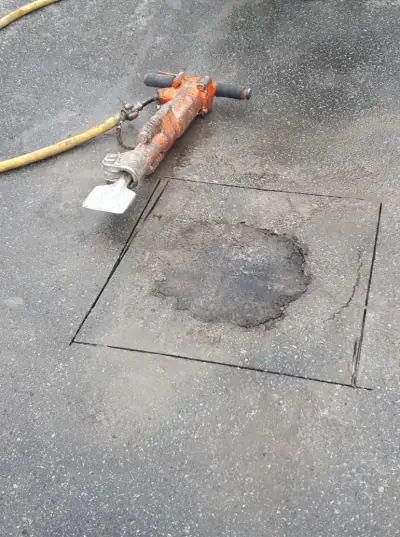 Removal & Replacement in Southeast Michigan